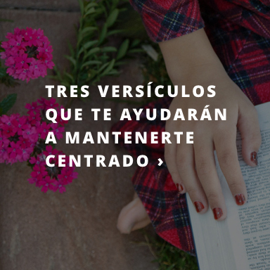 VeniraCristo.org